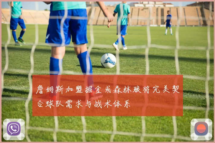 詹姆斯加盟掘金或森林狼将完美契合球队需求与战术体系